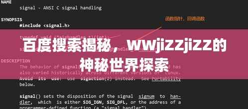 百度搜索揭秘,WWjiZZjiZZ的神秘世界探索