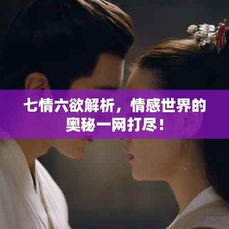 七情六欲解析,情感世界的奥秘一网打尽!
