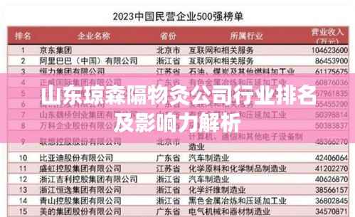 山东琼森隔物灸公司行业排名及影响力解析