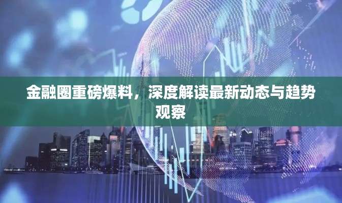 金融圈重磅爆料,深度解读最新动态与趋势观察