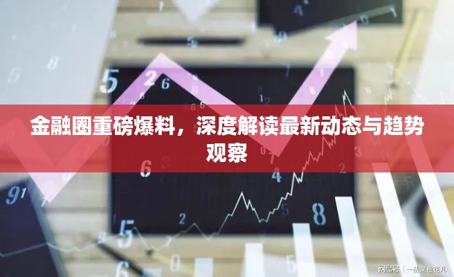 金融圈重磅爆料,深度解读最新动态与趋势观察