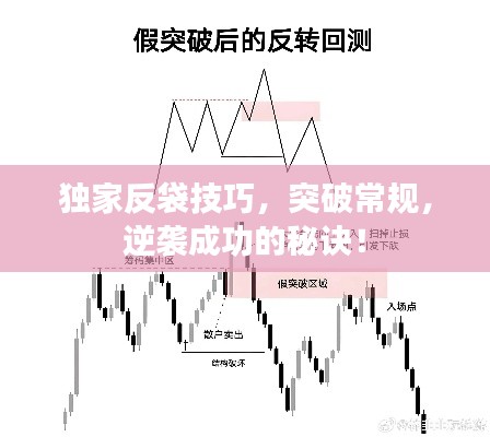 独家反袋技巧,突破常规,逆袭成功的秘诀!