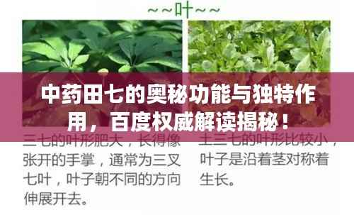 就地取材