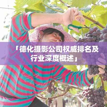 「德化摄影公司权威排名及行业深度概述」