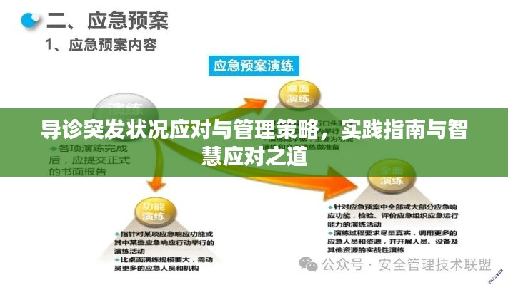 导诊突发状况应对与管理策略,实践指南与智慧应对之道