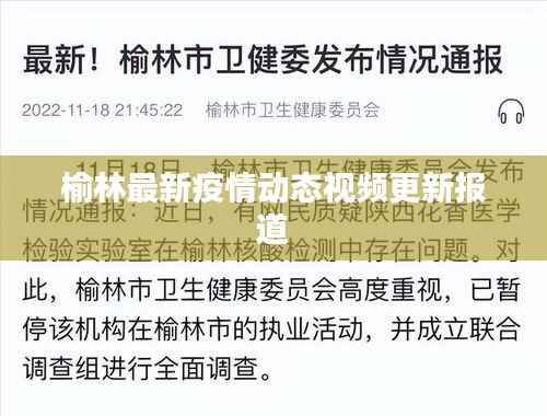 榆林最新疫情动态视频更新报道