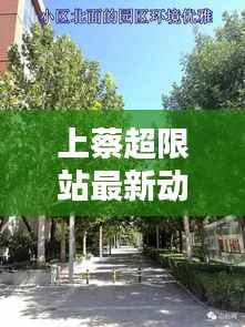 上蔡超限站最新动态揭秘,今日消息一网打尽!