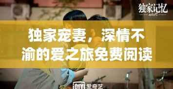 独家宠妻，深情不渝的爱之旅免费阅读全本