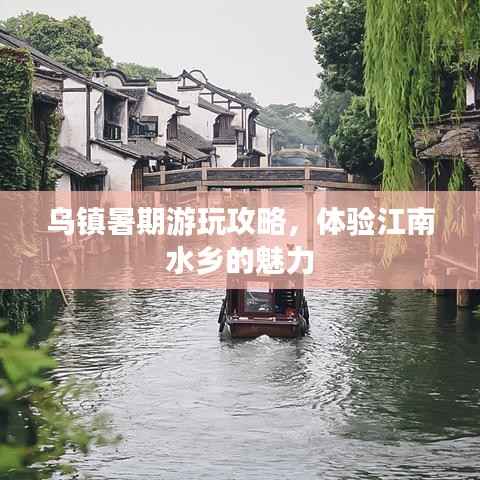 乌镇暑期游玩攻略，体验江南水乡的魅力