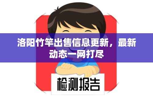 洛阳竹竿出售信息更新,最新动态一网打尽
