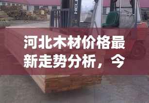 河北木材价格最新走势分析,今日市场动态揭秘