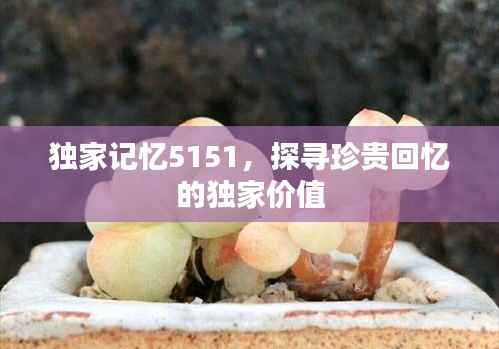 独家记忆5151,探寻珍贵回忆的独家价值