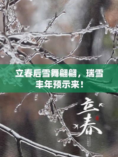 立春后雪舞翩翩,瑞雪丰年预示来!