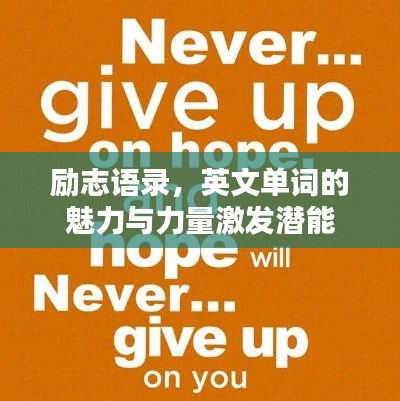 励志语录，英文单词的魅力与力量激发潜能