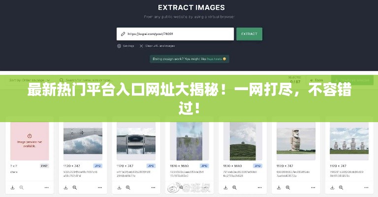 最新热门平台入口网址大揭秘！一网打尽，不容错过！