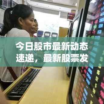 今日股市最新动态速递,最新股票发布信息概览