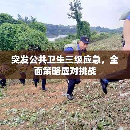 突发公共卫生三级应急,全面策略应对挑战
