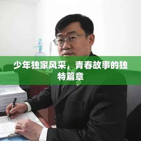 少年独家风采,青春故事的独特篇章