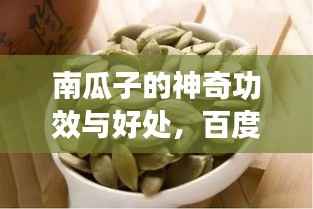 南瓜子的神奇功效与好处,百度带你全面了解!
