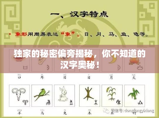 独家的秘密偏旁揭秘,你不知道的汉字奥秘!