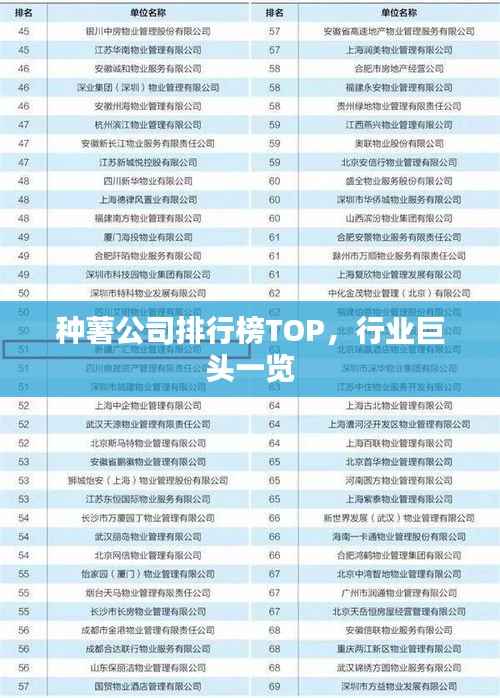 种薯公司排行榜TOP，行业巨头一览