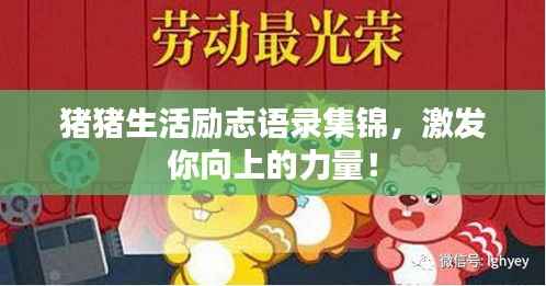 猪猪生活励志语录集锦，激发你向上的力量！