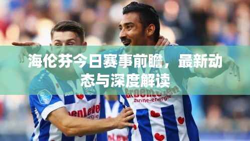 海伦芬今日赛事前瞻，最新动态与深度解读