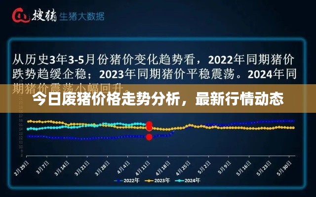 今日废猪价格走势分析,最新行情动态
