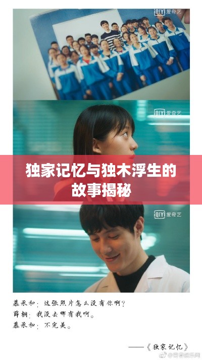独家记忆与独木浮生的故事揭秘