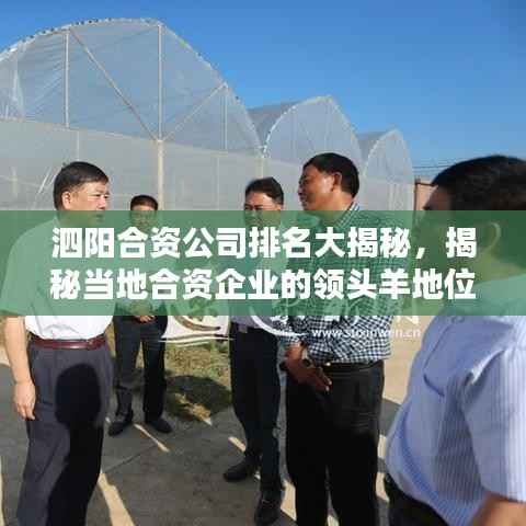 泗阳合资公司排名大揭秘,揭秘当地合资企业的领头羊地位!