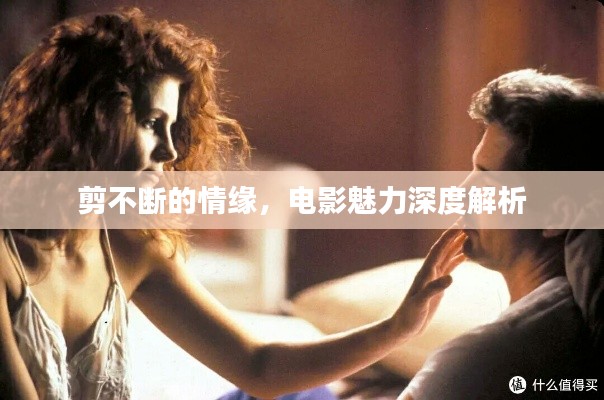 剪不断的情缘，电影魅力深度解析