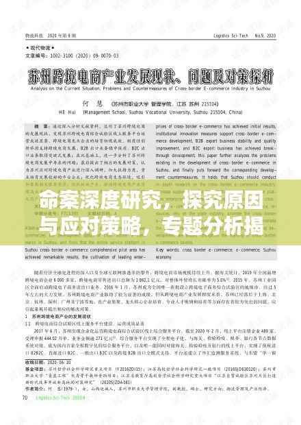 命案深度研究,探究原因与应对策略,专题分析揭示真相