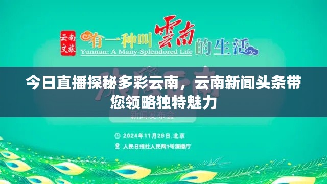 今日直播探秘多彩云南，云南新闻头条带您领略独特魅力