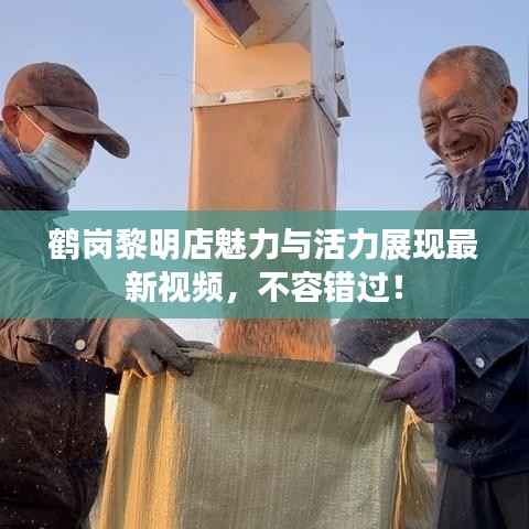 鹤岗黎明店魅力与活力展现最新视频,不容错过!