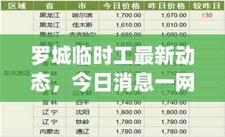 罗城临时工最新动态，今日消息一网打尽！