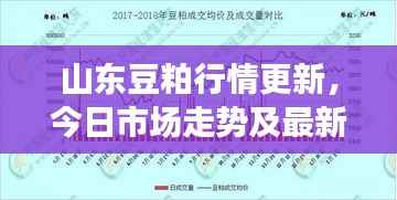 山东豆粕行情更新,今日市场走势及最新消息