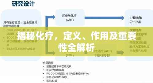 揭秘化疗，定义、作用及重要性全解析