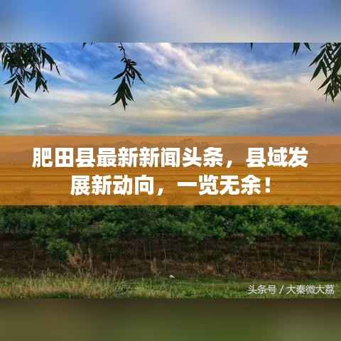 肥田县最新新闻头条，县域发展新动向，一览无余！