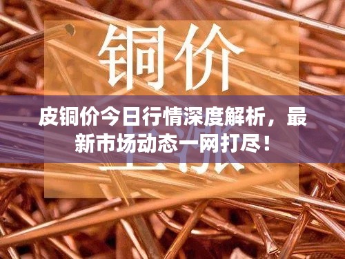 皮铜价今日行情深度解析，最新市场动态一网打尽！
