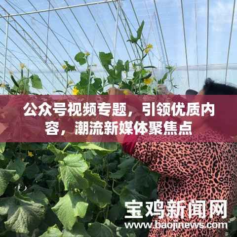 公众号视频专题，引领优质内容，潮流新媒体聚焦点