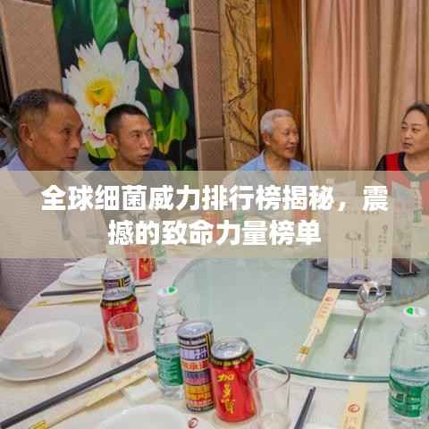 全球细菌威力排行榜揭秘，震撼的致命力量榜单