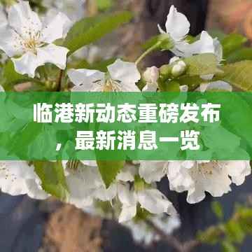 临港新动态重磅发布，最新消息一览