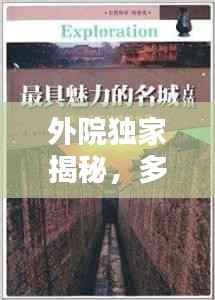 外院独家揭秘，多元世界的独特魅力探索