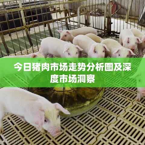 今日猪肉市场走势分析图及深度市场洞察