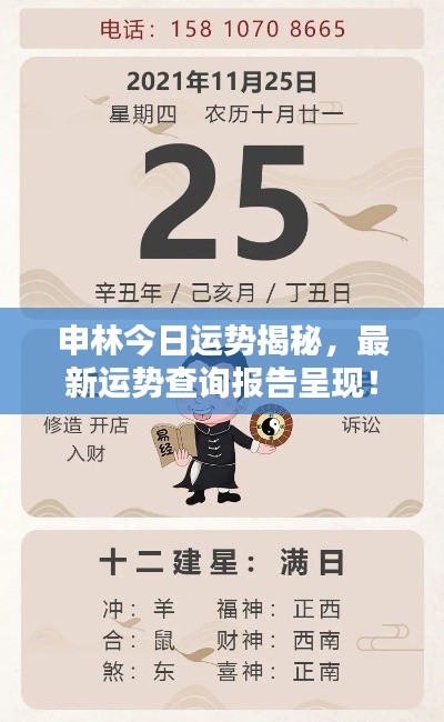 申林今日运势揭秘,最新运势查询报告呈现!