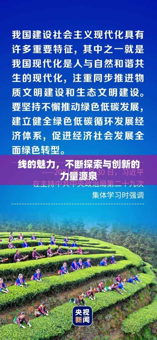 线的魅力,不断探索与创新的力量源泉