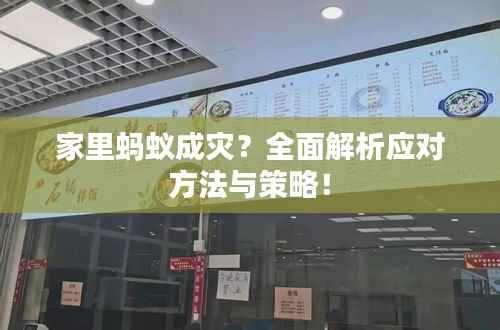 家里蚂蚁成灾?全面解析应对方法与策略!