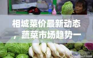 相城菜价最新动态，蔬菜市场趋势一览