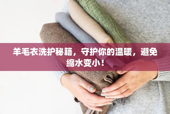 羊毛衣洗护秘籍，守护你的温暖，避免缩水变小！