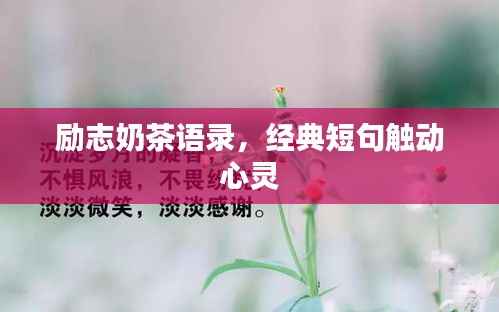 励志奶茶语录，经典短句触动心灵